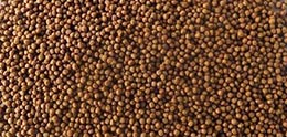 2mm fish feed